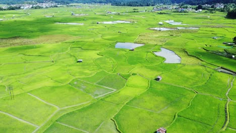 aerial view shot of paddy field in arunachal pradesh