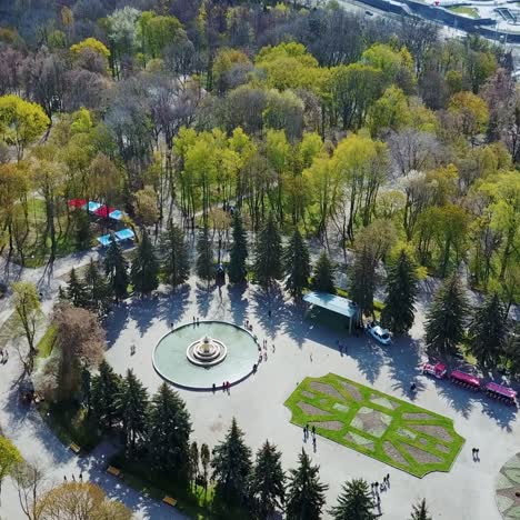 aerial shot of city park