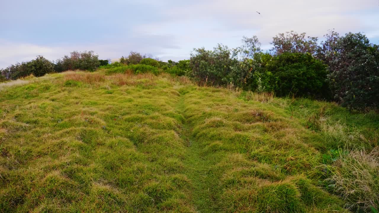 montañas colinas con exuberante hierba verde - crescent head village - sydney, nueva gales del sur, australia