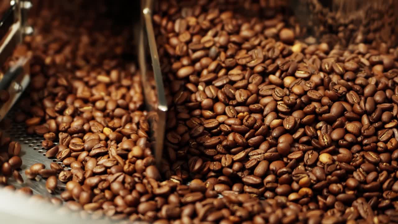 granos de café en la máquina de tostar