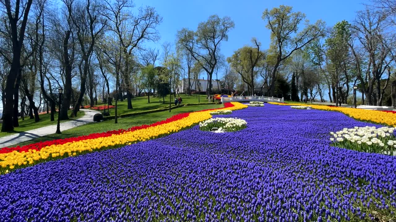 el festival de los tulipanes de estambul.