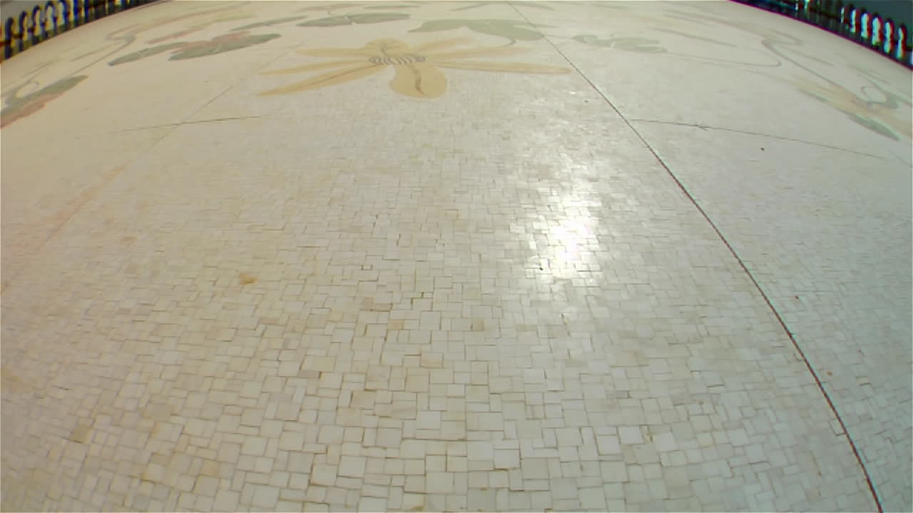 inclinación de ojo de pez para revelar la hermosa mezquita sheikh zayed en abu dhabi, emiratos árabes unidos