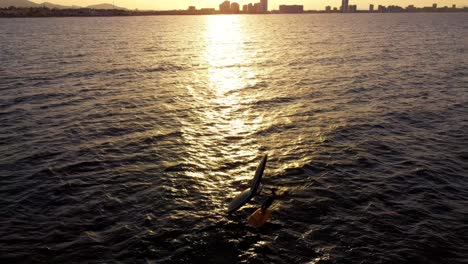 Windsurf-Foirl-Surf-En-La-Playa-En-Verano-Durante-La-Vista-Aérea-Del-Atardecer