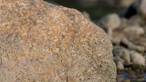 stone on beach at sunset