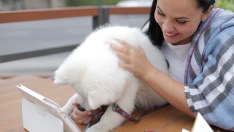 girl warms a white dog on an autumn day woman laughs and hugs a japanese spitz dog