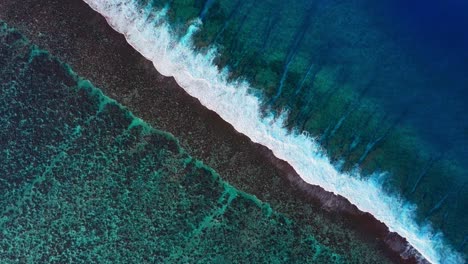 bora bora moorea mo'orea tahiti french polynesia aerial drone coral reef passe birdseye unique wave surf crashes on channel fingers deep aqua blue south pacific island sunny morning angled static shot