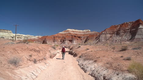 Back-View-of-Female-Hiker-With-Backpack-Walking-on-Hiking-Trail-in-American-Desert-Landscape