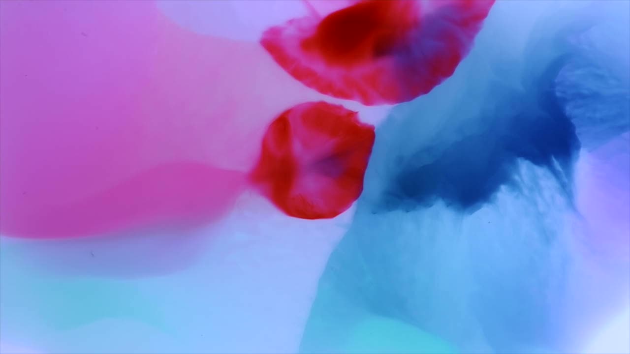 Colors churn, charm, dance and entertain