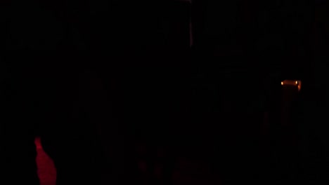 silhouette of sexy girl in lingerie partying at the club. medium shot