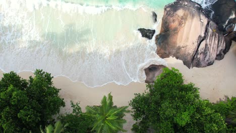 bird eye drone shot of white sandy beach, large granite stone, coconut palm trees and waves crashing on the shore, mahe seychelles 60 fps