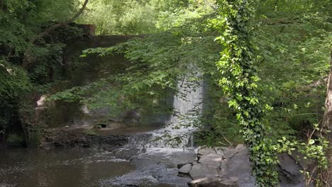 Peaceful-woodland-forest-splashing-waterfall-slow-motion-flowing-wilderness-paradise-dolly-right-passing-tree