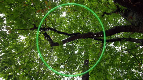 Green circle animation over tree branches and leaves in forest