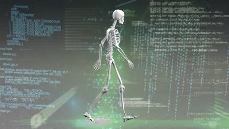 animation of data processing over skeleton walking