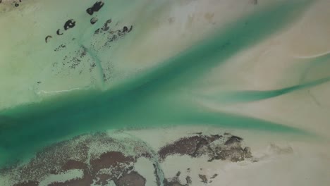 Protected-Area-At-Shark-Bay-In-Langebaan-Lagoon-Near-West-Coast-National-Park,-South-Africa