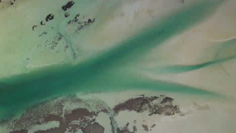 protected area at shark bay in langebaan lagoon near west coast national park, south africa