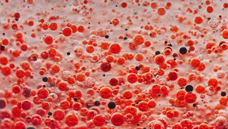 macro shot of red and black bubbles slowly moving around in water with light background