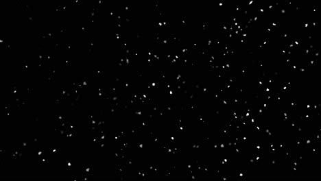 animación de nieve en diferentes fondos