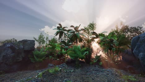 sunset beams through palm trees