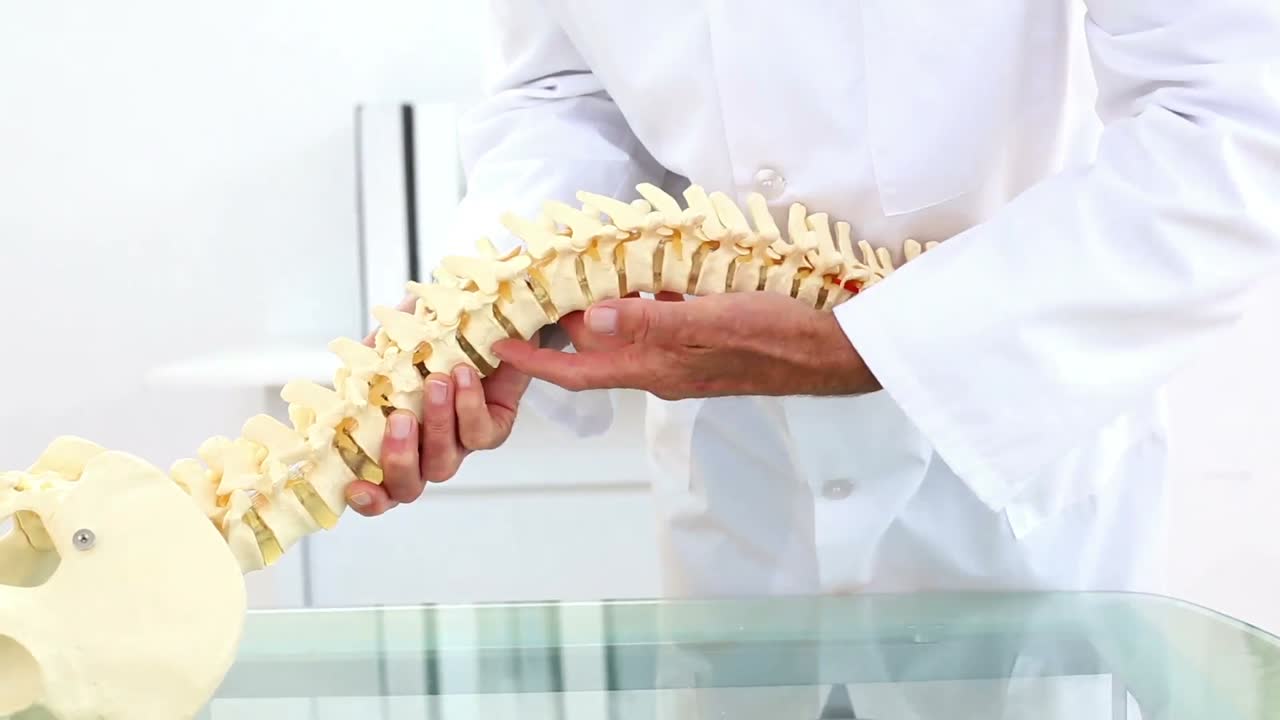 ⁇ 대 척추 모델 을 카메라 에 설명 하는 의사