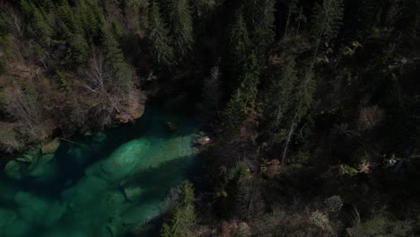 Aerial-Shot-Of-Wonderful-Cresta-Lake-Streaming-Through-Green-Trees,-Switzerland