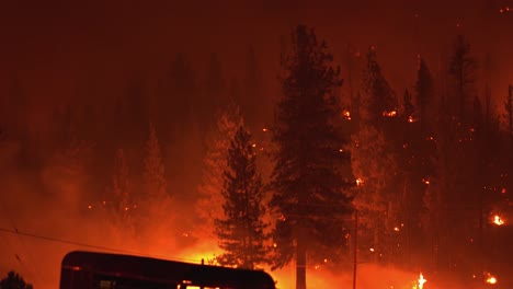 Raging-bushfire,-glowing-red-spruce-forest-burning-during-nighttime