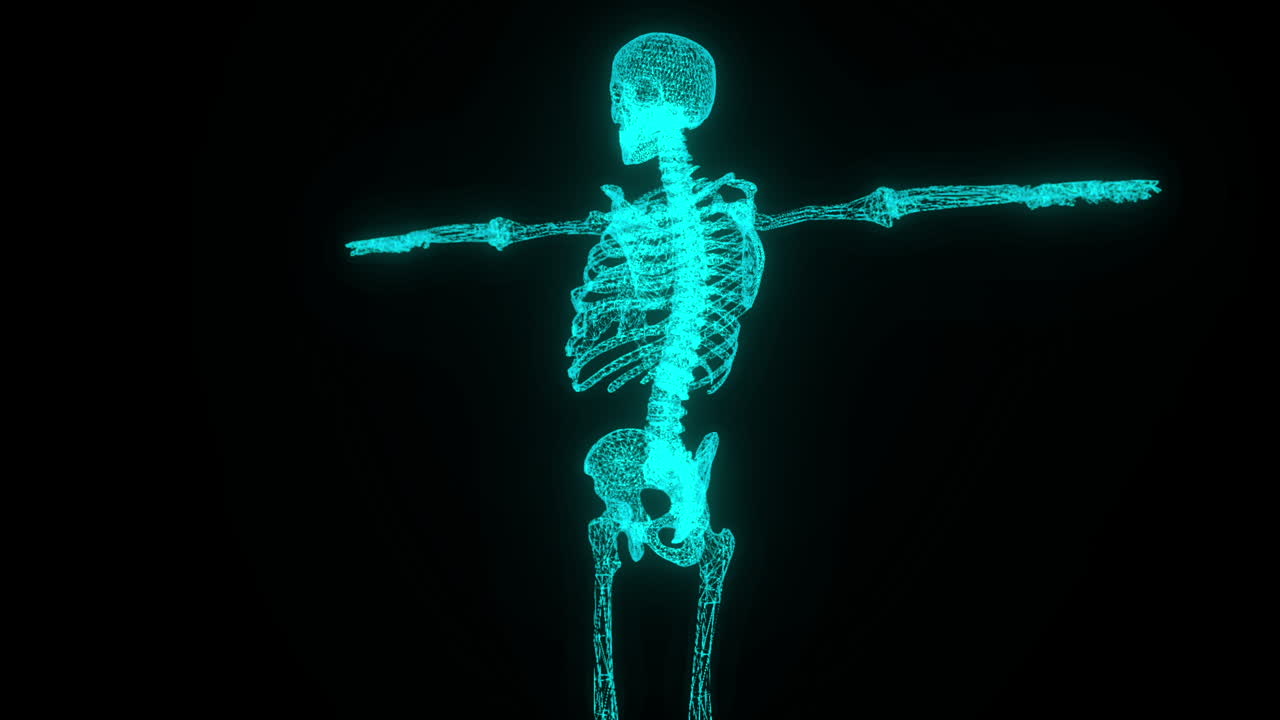 estudiando el cuerpo humano