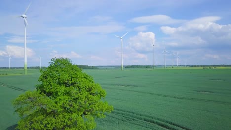 Aerial-view-of-wind-turbines-generating-renewable-energy-in-the-wind-farm,-sunny-summer-day,-lush-green-agricultural-cereal-fields,-countryside-roads,-oak-tree,-ascending-drone-shot-moving-forward