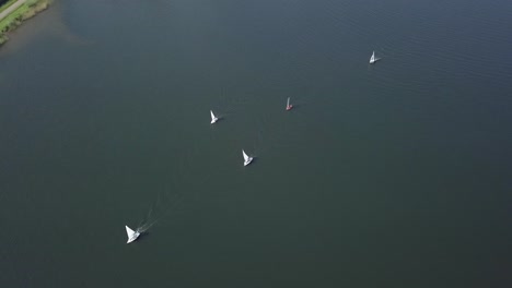 imágenes aéreas de los veleros en el lago en europa-holanda.