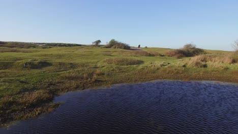 Antena:-La-Reserva-Natural-De-Dunas-De-Oostkapelle-Con-Potros-Pastando