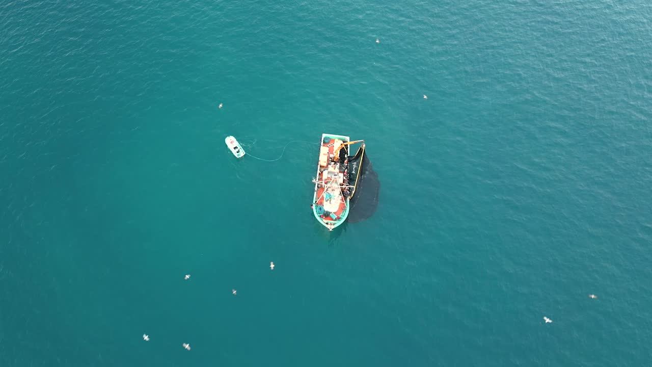 Vista aerea di un peschereccio a strascico che trascina la sua rete, con sardine che la riempiono, e gabbiani che volteggiano intorno