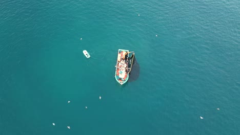 aerial view of a fishing trawler towing its net, filling sardines and seagulls hovering around