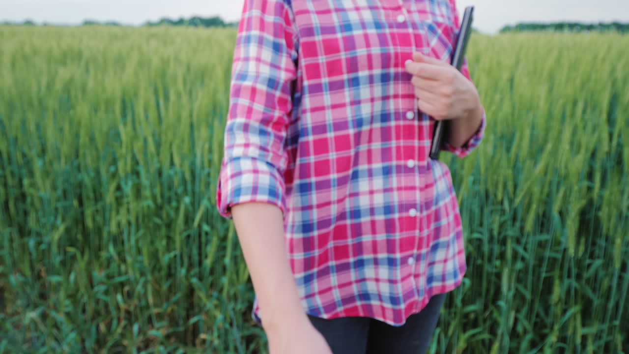 vista en primera persona apretón de manos de dos granjeros