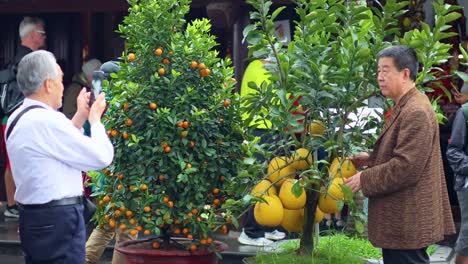 two men photographing quince fruit in hanoi