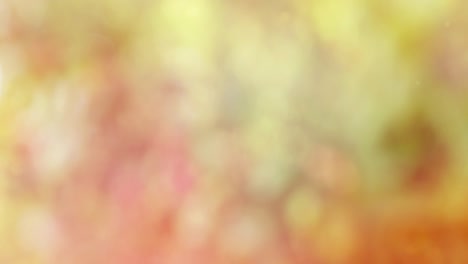fondo de movimiento de bokeh de bosque abstracto