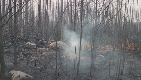 aerial-shot-of-smoke-coming-out-of-a-settled-wildfire-during-the-aftermath-of-said-wildfire-near-Kirkland-lake