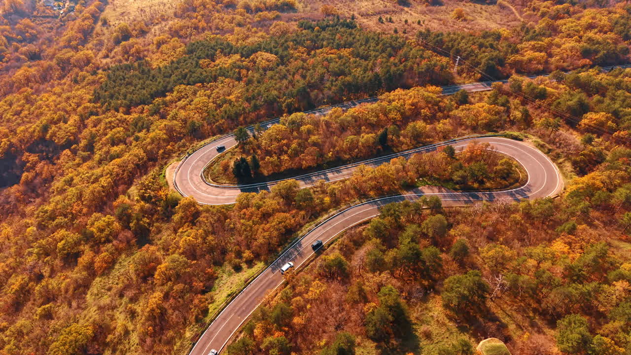 Autumn Forest Road with Curved Highway Aerial View. Curved highway surrounded by trees, cars driving through scenic landscape