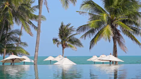 Sombrillas-Alrededor-De-Una-Piscina-Infinita-Con-Vista-Al-Mar-Y-Palmeras-Tropicales