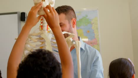 Caucasian-male-teacher-fixing-human-skeleton-model-in-classroom-at-school-4k