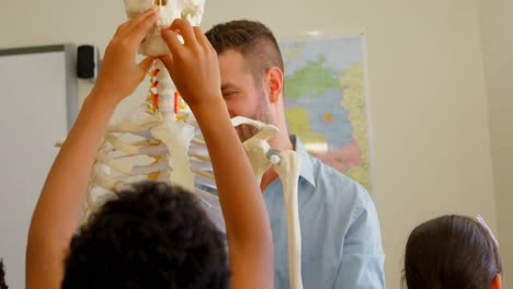 maestro caucásico que fija un modelo de esqueleto humano en el aula de la escuela 4k