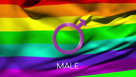 Male-text-and-gender-symbol-with-rainbow-flag