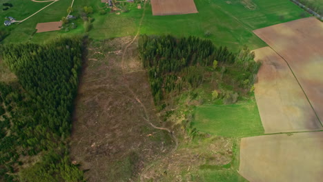 un dron aéreo disparó sobre la deforestación de bosques verdes junto a tierras de cultivo a lo largo del campo rural durante el día