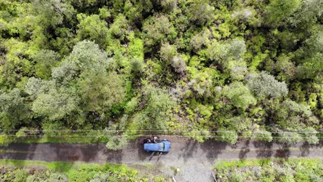 Person-Kommt-Mit-Einem-Parkenden-Auto-Auf-Einer-Sehr-Einfachen-Netzfernen-Straße-An-Einem-Ungewöhnlichen,-Netzfernen-Farnwaldstandort-In-Hawaiianischen-Acers-An