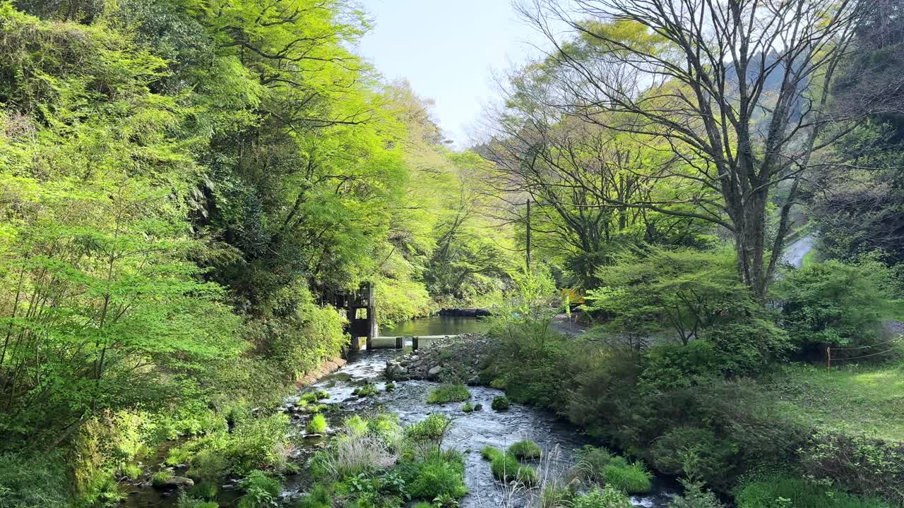 Lush green scenery with a stream flowing gently, showcasing Shiraito Falls, Mount Fuji