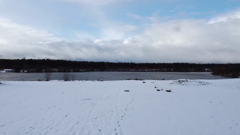 Lommelse-Sahara-lake-covered-in-snow,-winter-forest-landscape-in-Belgium