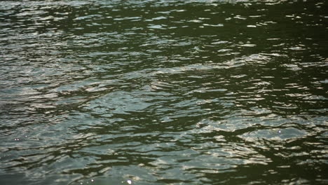 rippling lake surface with small waves view from sailing boat closeup. river water on calm summer day during motorboat trip. recreational time in nature