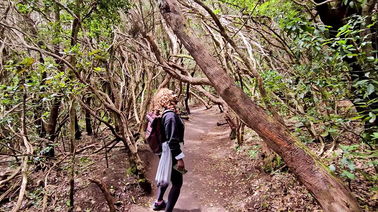 Curious traveler exploring a unique forest trail with twisted trees, Anaga, Tenerife