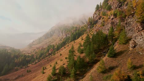 Stunning-Mountain-Slopes-And-Forest-In-A-Foggy-Autumn-Morning-In-Piemonte-Italy---Aerial-shot