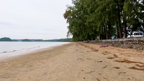 una tranquila playa de arena con exuberante vegetación en krabi, tailandia