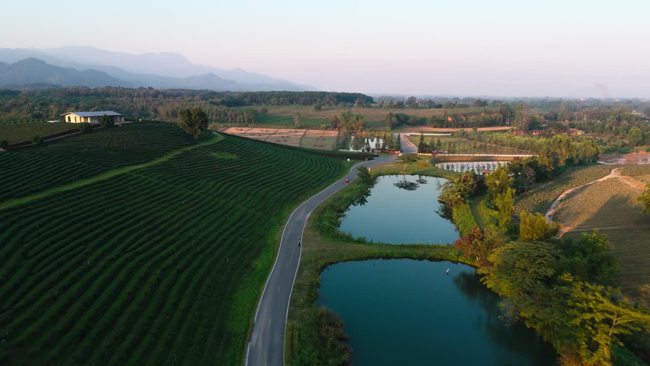 Sorvolo di una strada presso la piantagione di tè Choui Fong, vista della piantagione, della strada, dello stagno e del paesaggio.