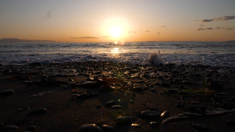 zona rocosa y olas rompiendo en la playa al atardecer